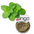 2021 Peppermint Tea Powder Herba Menthae Extract Powder